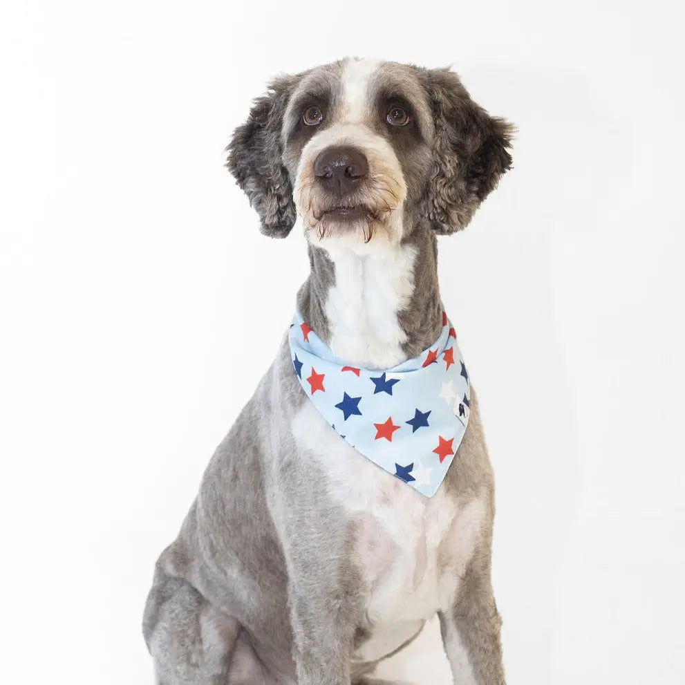 Patriotic Summer Dog Bandana Dog Bandana Co.