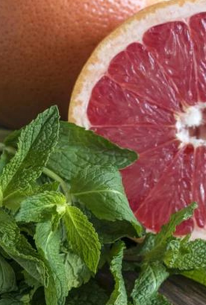 Grapefruit + Mint | Fresh Citrus · Herbal