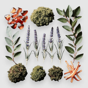 Lavender Oak Room Spray by RXLA, product photo 2 of 3
