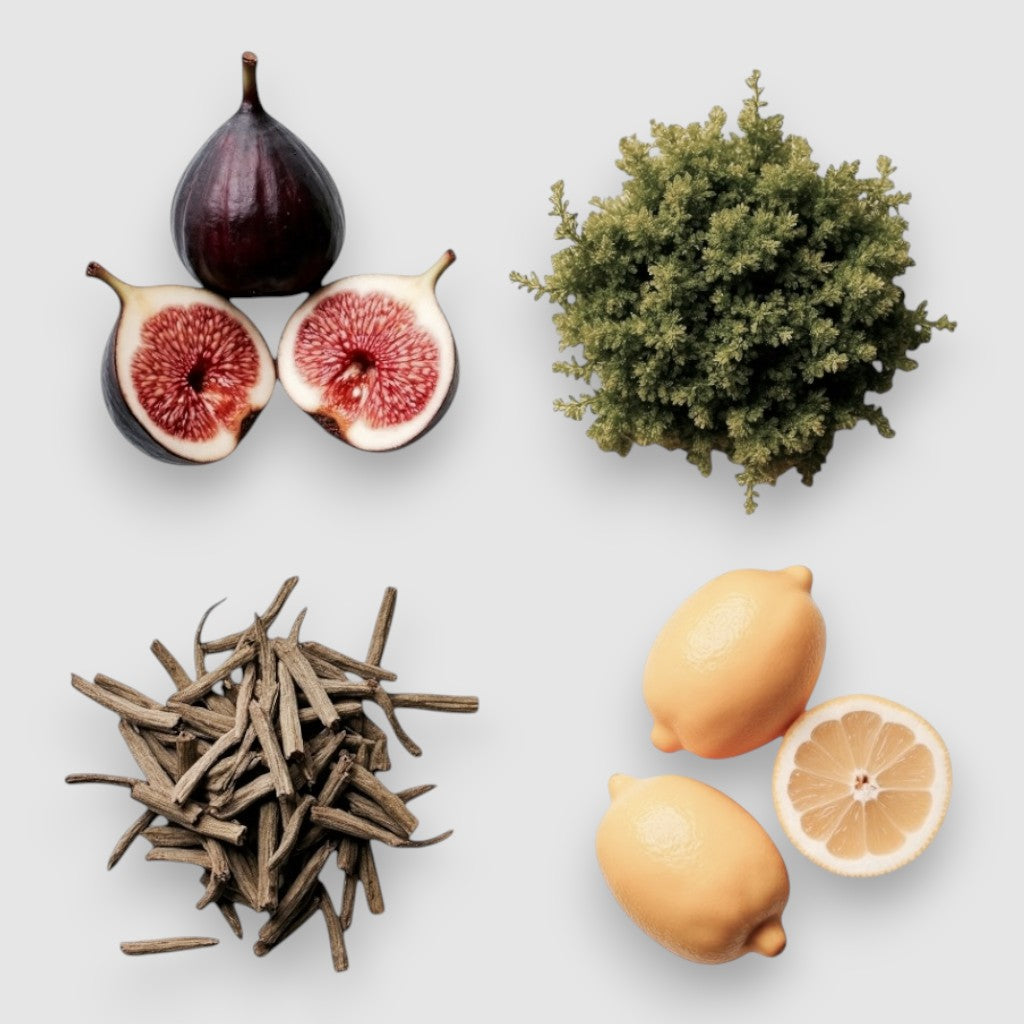 Fresh Fig Reed Diffuser by RXLA, product photo 5 of 6