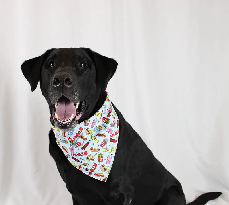 Pizza & Food Dog Bandana Dog Bandana Co.