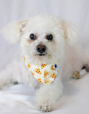 Pizza & Food Dog Bandana Dog Bandana Co.
