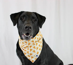 Pizza & Food Dog Bandana Dog Bandana Co.
