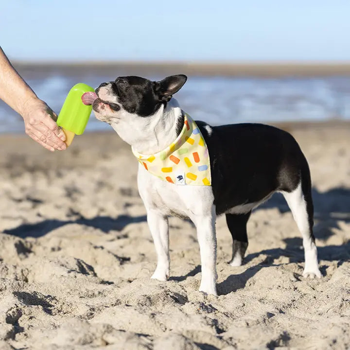 Popsicle Dog Bandana Dog Bandana Co.