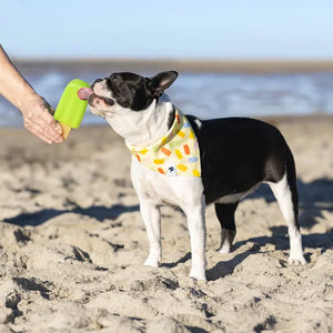 Popsicle Dog Bandana Dog Bandana Co.