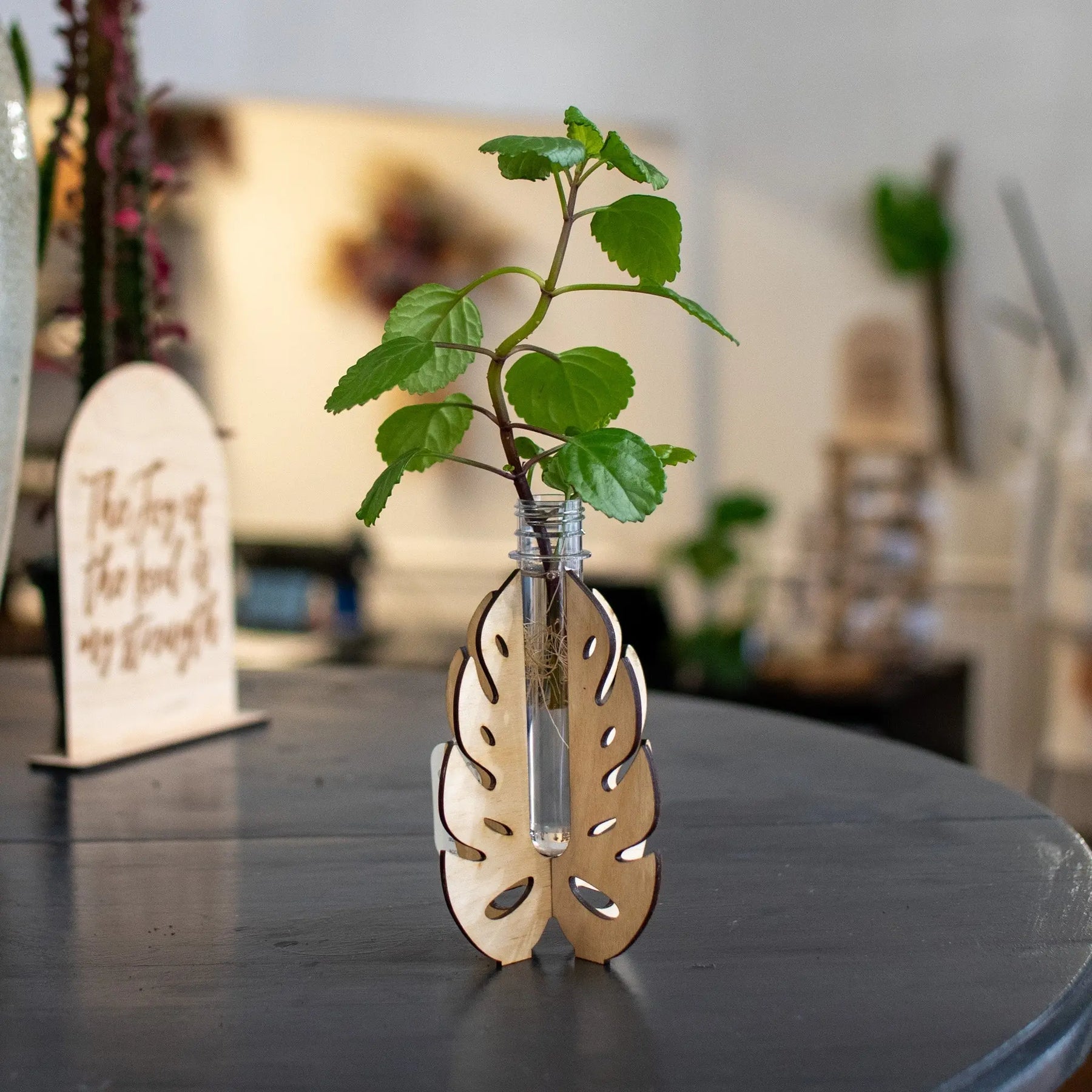 Propagation Station - Stand Still Magnolia