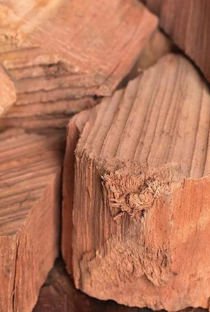 Sandalwood | Soft Woods · Dark Musk · Rich Amber