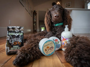 Brown dog with Essential Journeys bath salts and Appalachian Apothecary lotion.