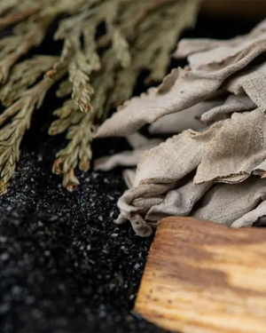 Sage + Sand | Calming Sage · Soft Florals · Warm Woods