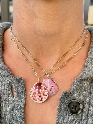 Scallop Paperclip Necklace HALT