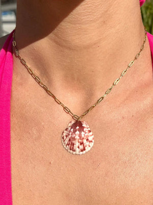 Scallop Paperclip Necklace HALT