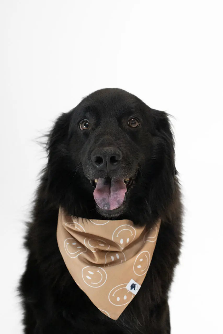 Smiles Dog Bandana Dog Bandana Co.