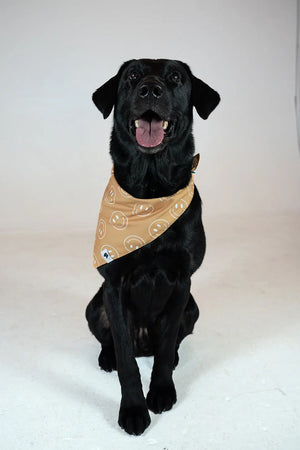Smiles Dog Bandana Dog Bandana Co.