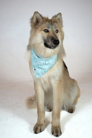 Smiles Dog Bandana Dog Bandana Co.