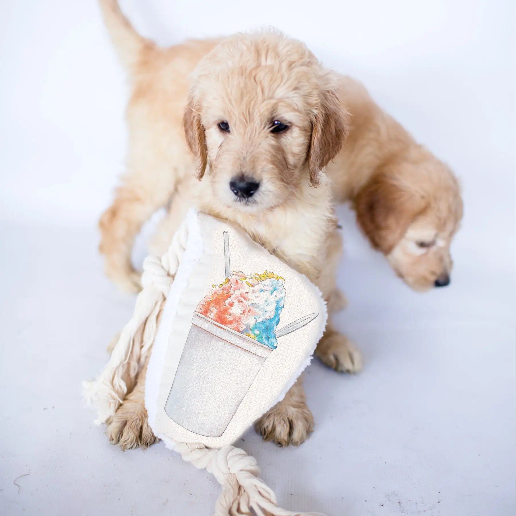 Snoball Dog Rope Toy Nola Tawk
