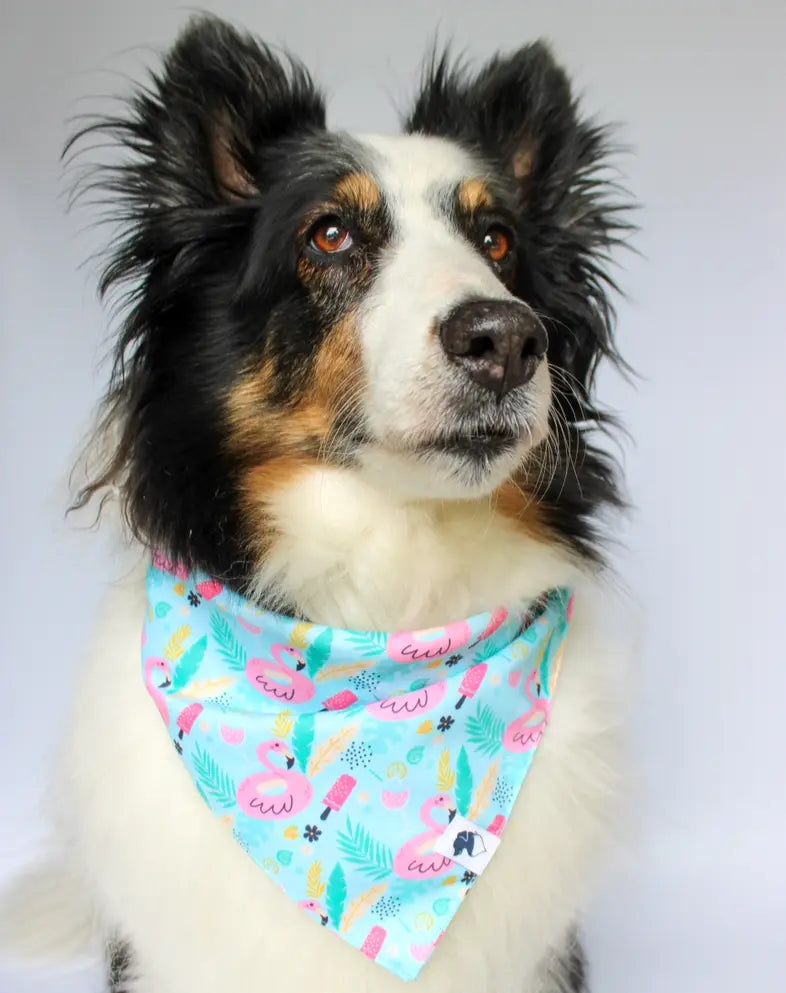 Summer Beach Dog Bandana Dog Bandana Co.