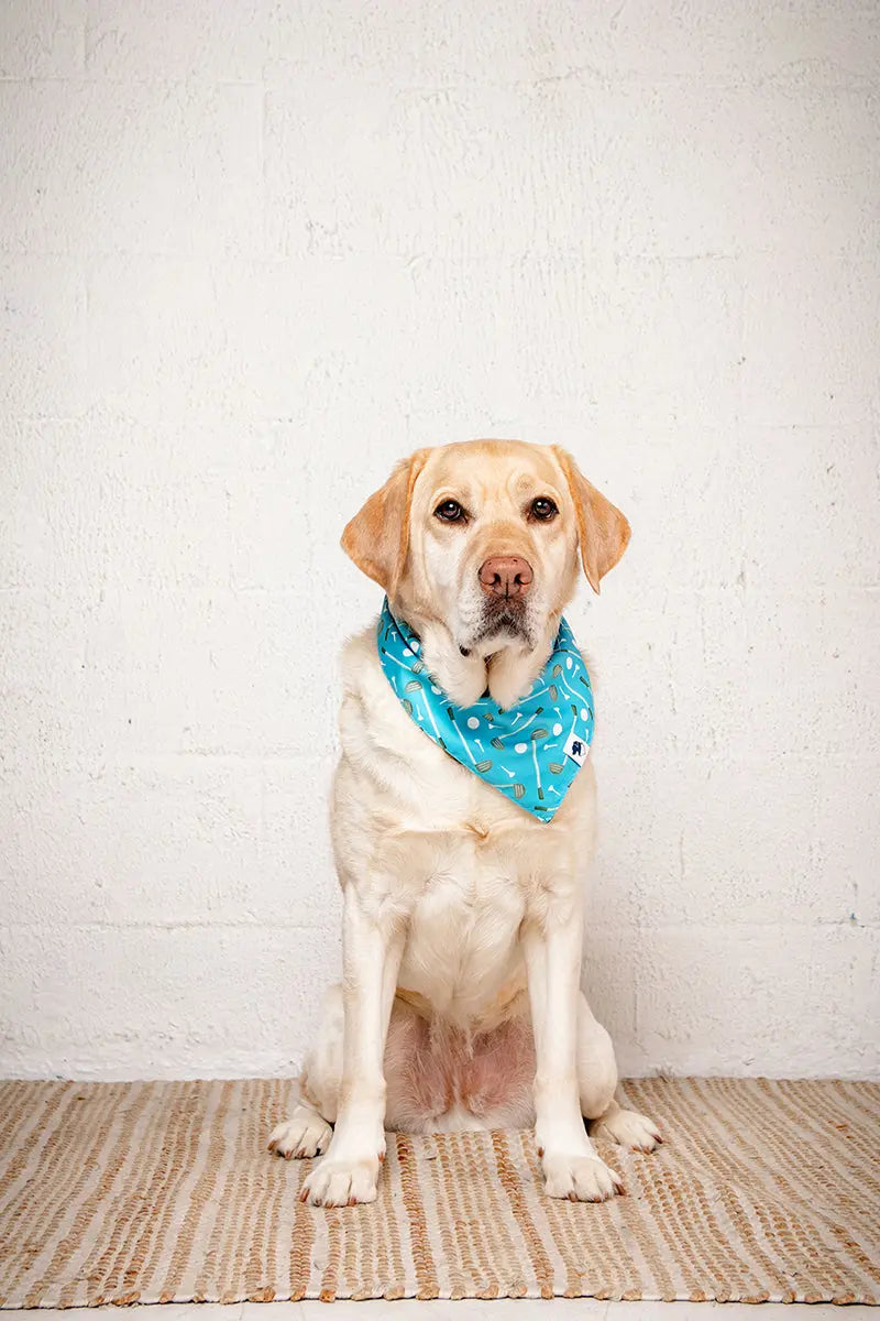 Tee Time Dog Bandana Dog Bandana Co.