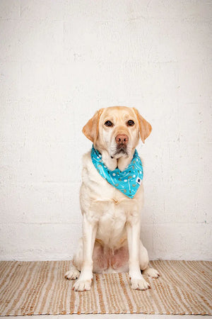 Tee Time Dog Bandana Dog Bandana Co.