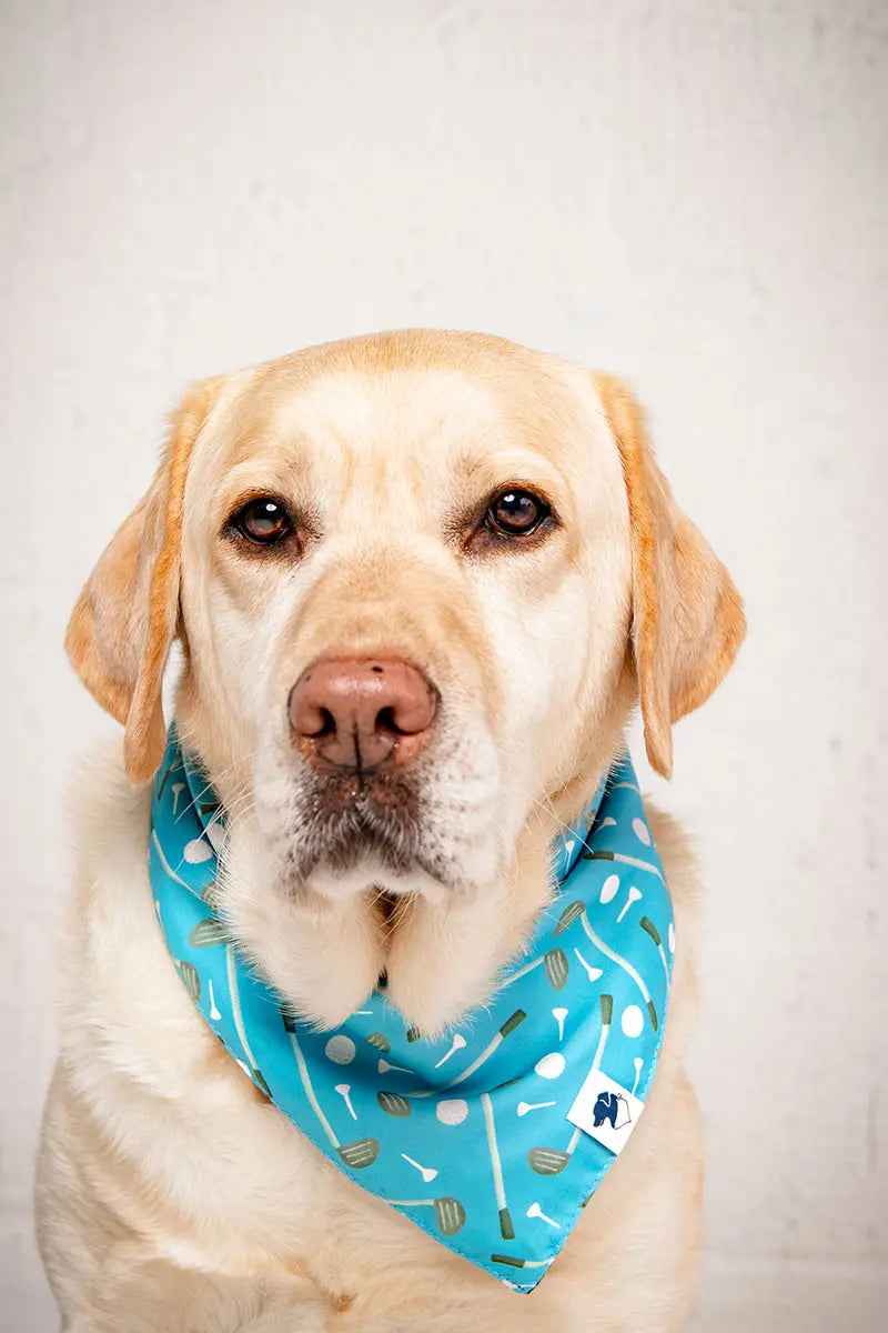 Tee Time Dog Bandana Dog Bandana Co.
