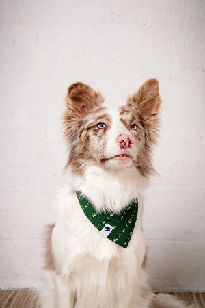 Tee Time Dog Bandana Dog Bandana Co.