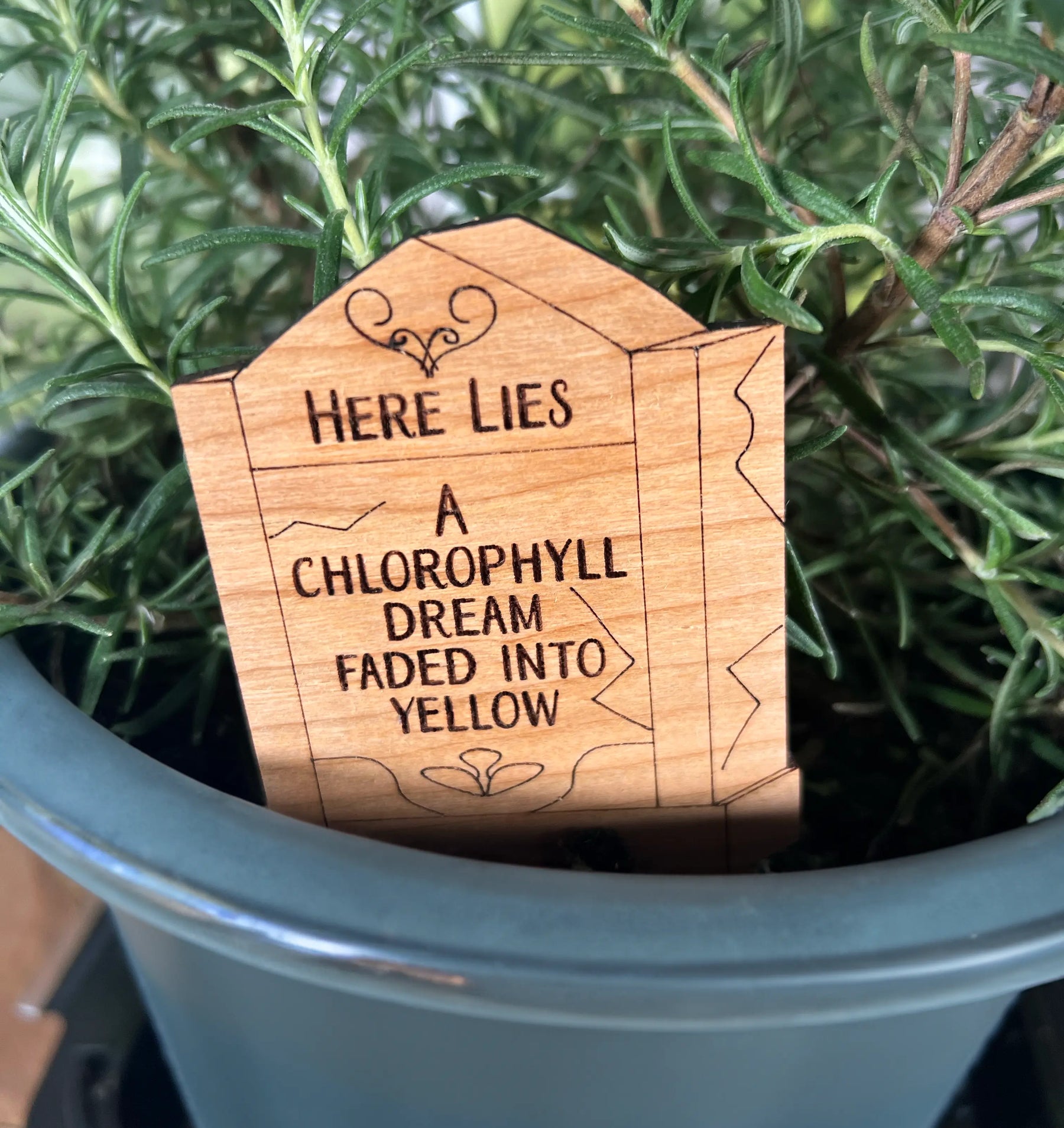 Tombstone Plant Picks (6 Designs) Artspeak Studio