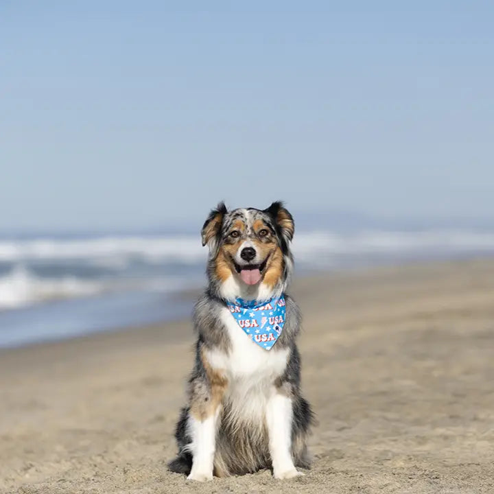 USA Dog Bandana Dog Bandana Co.