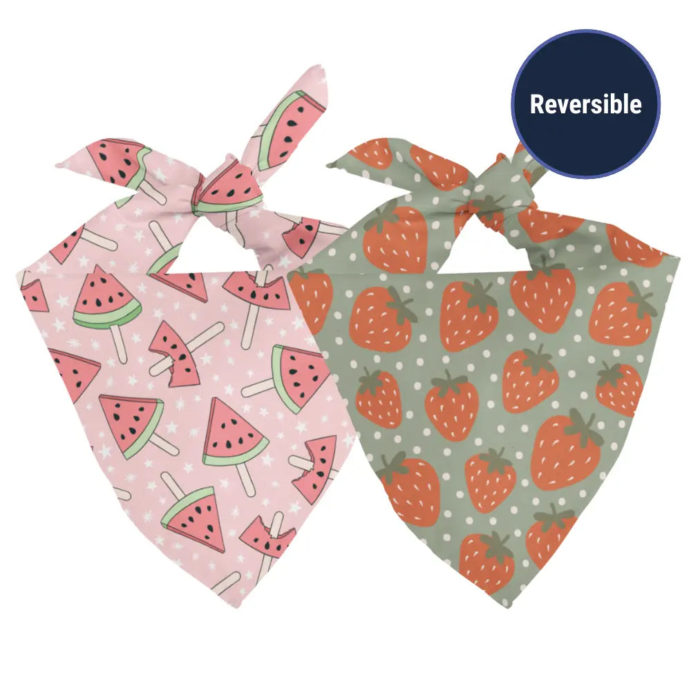 Watermelon & Strawberry Dog Bandana Dog Bandana Co.