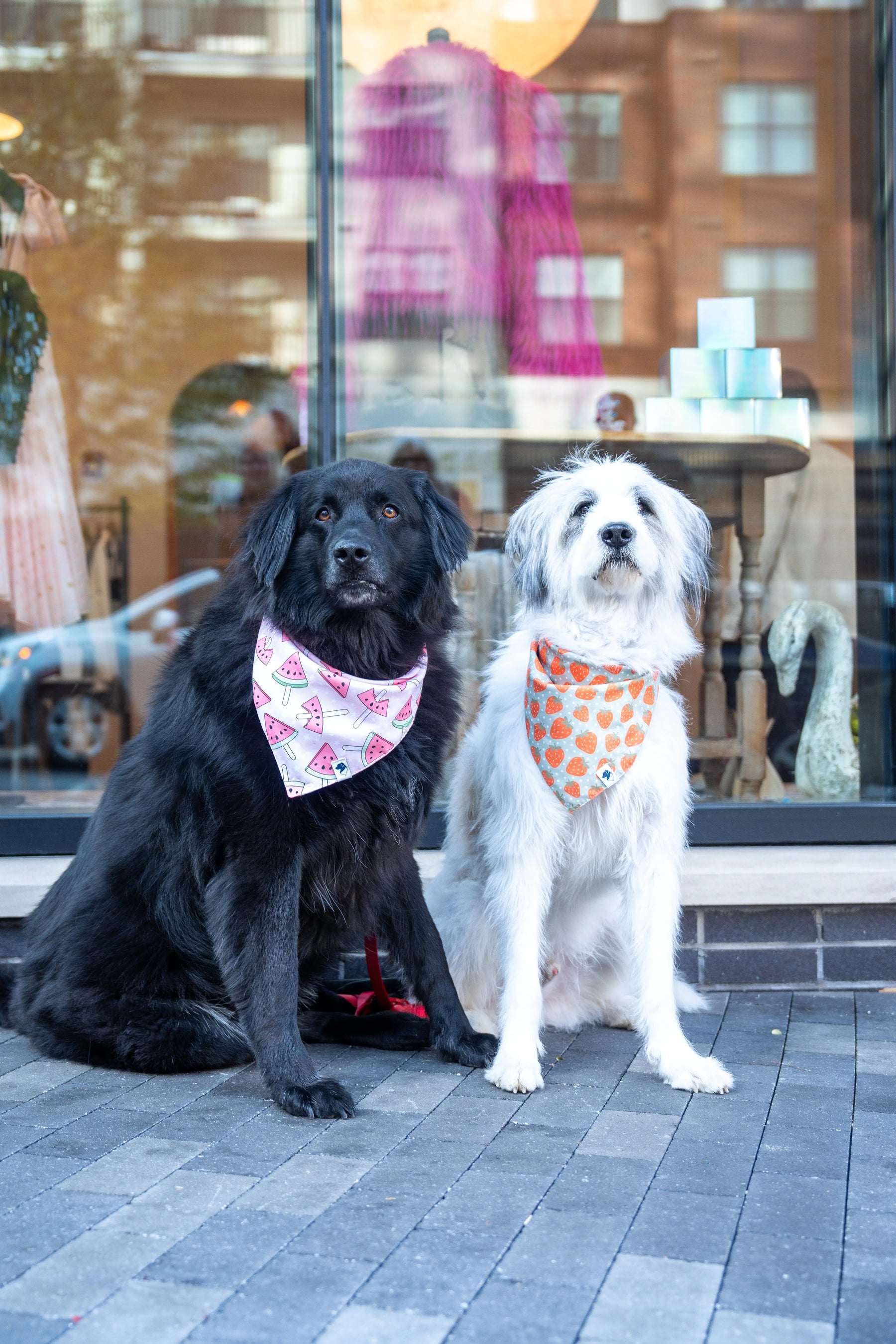 Watermelon & Strawberry Dog Bandana Dog Bandana Co.