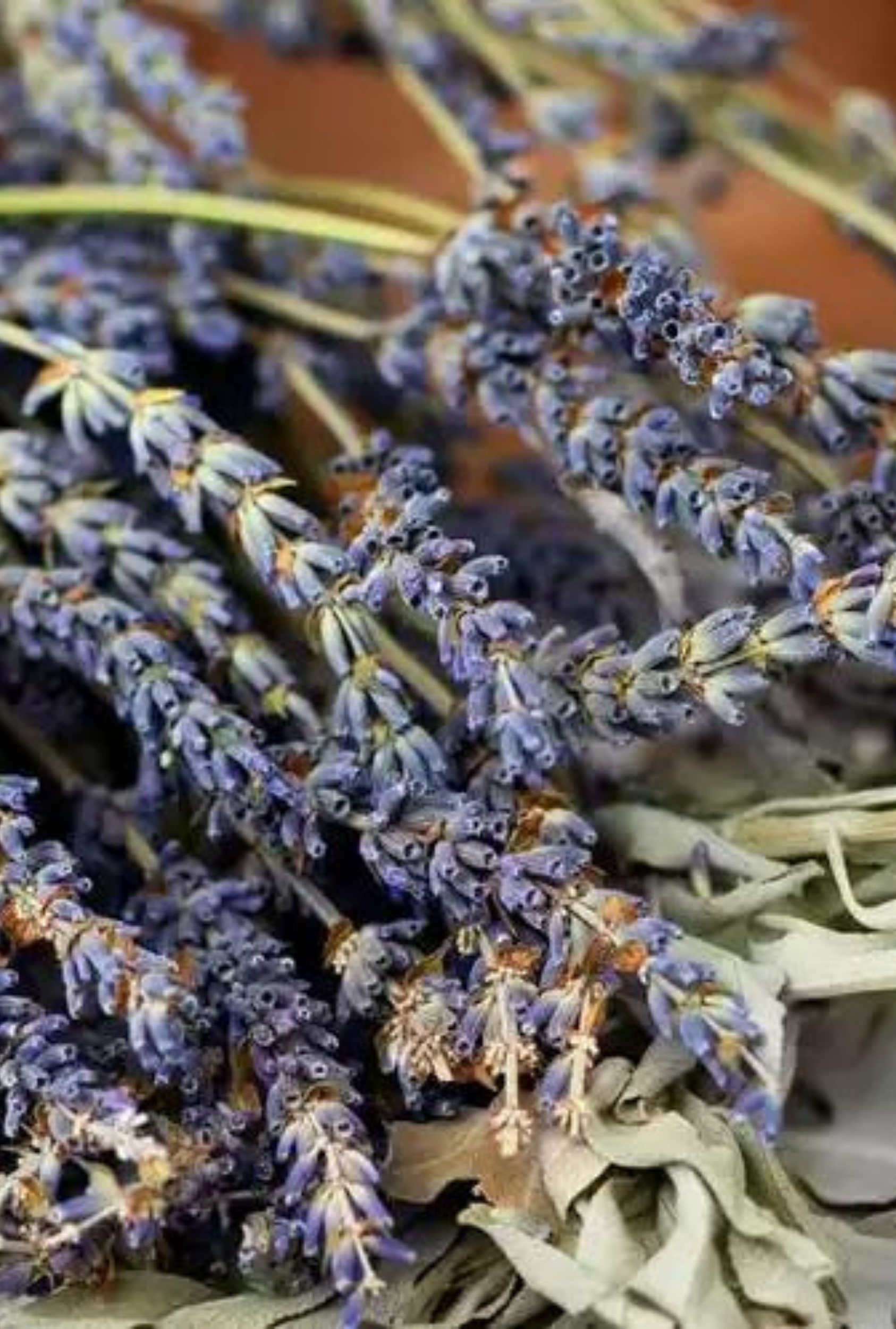 White Sage + Lavender | Herbal Sage · Soft Lavender · Warm Woods