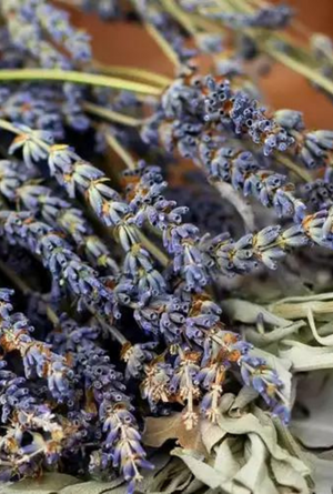 White Sage + Lavender | Herbal Sage · Soft Lavender · Warm Woods