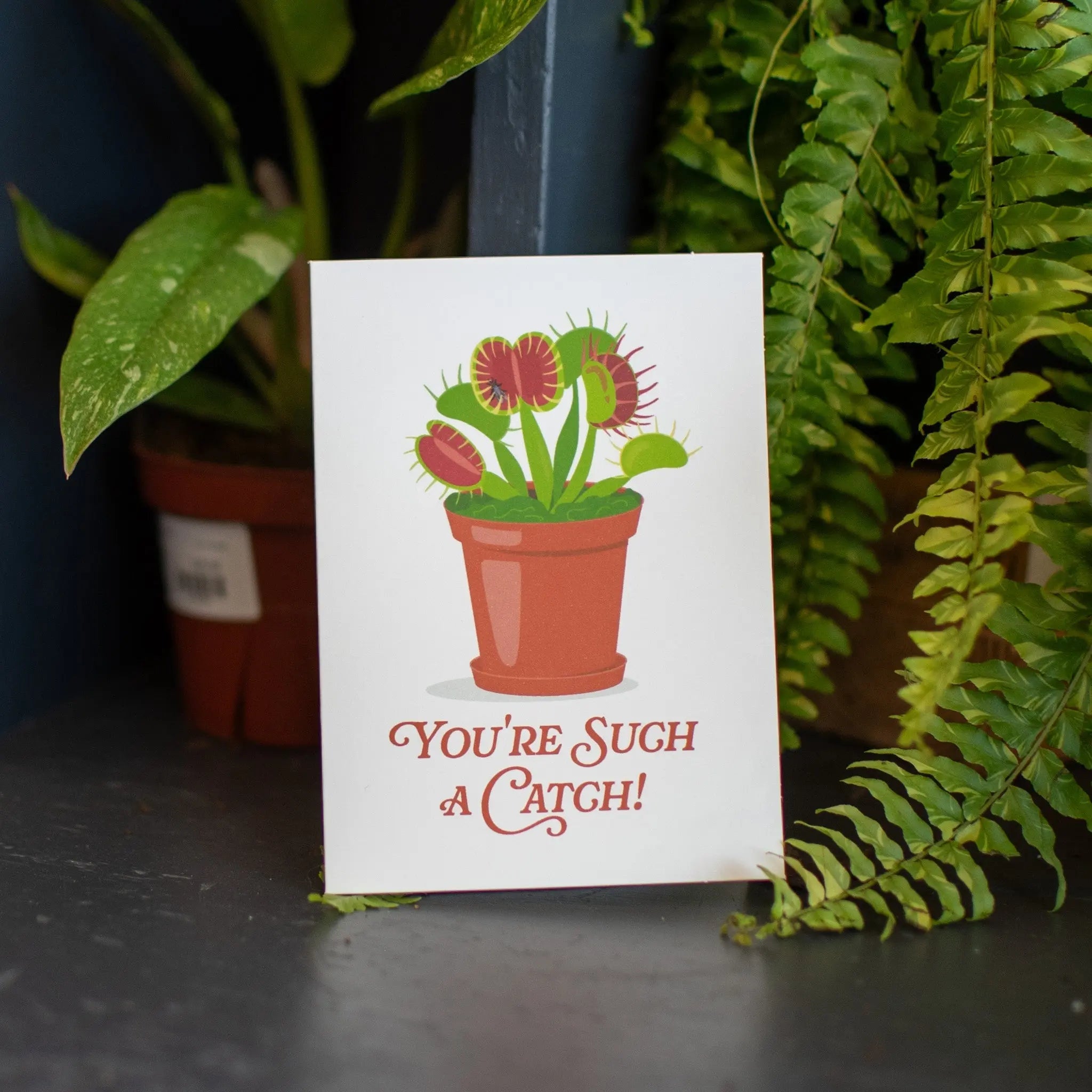 Greeting card with a Venus flytrap illustration and "You're Such A Catch" text.