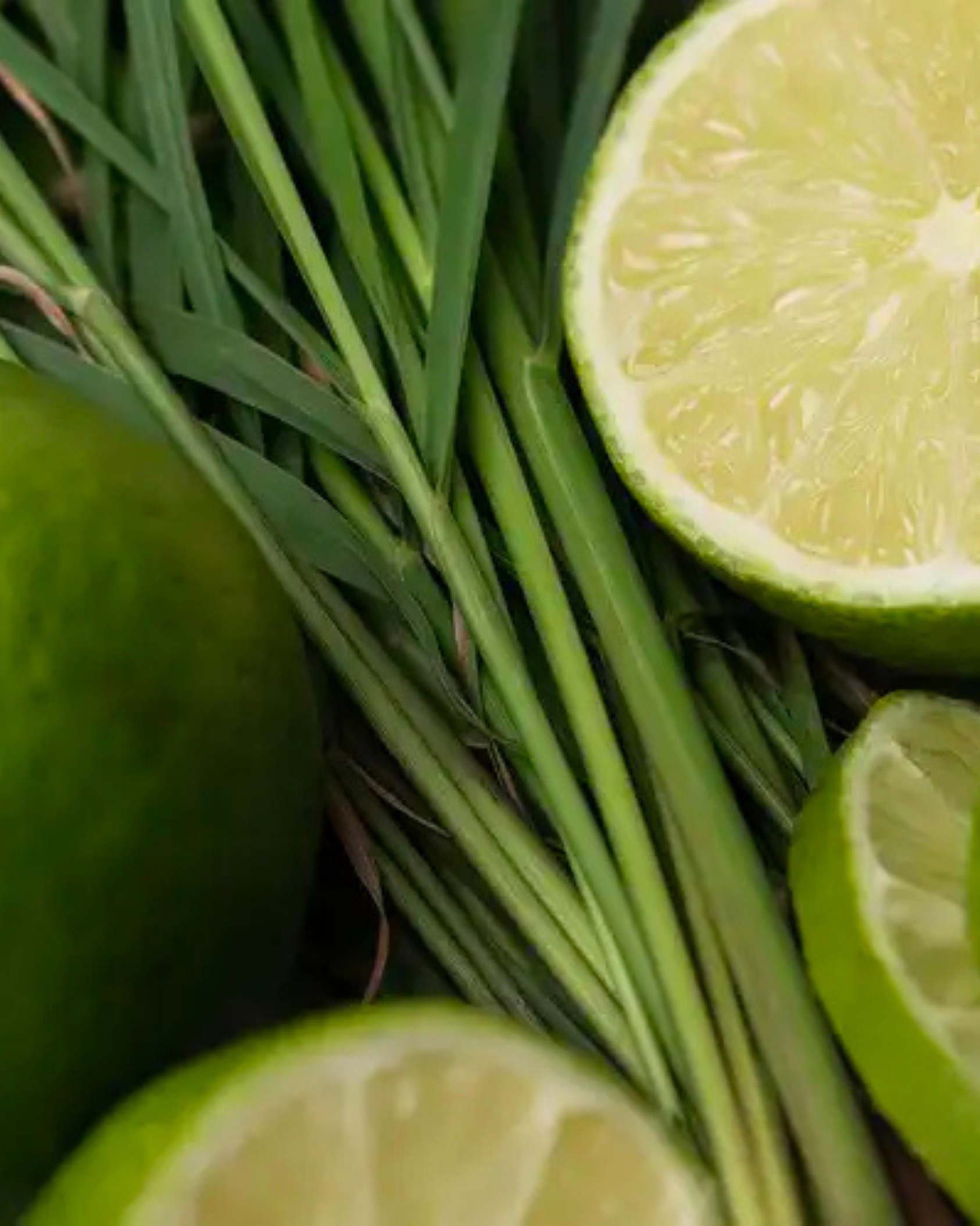Lemongrass + Lime | Clean Citrus · Balanced Herbal · Soft Musk
