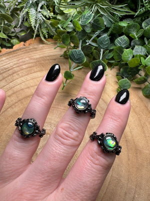 Abalone Ring Adjustable
