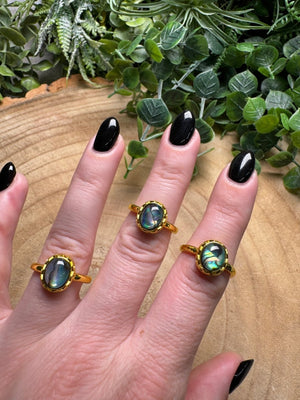 Abalone Shell Ring Adjustable