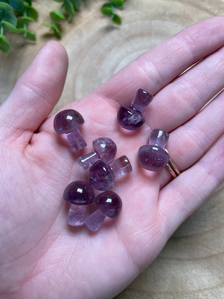Amethyst Mushroom