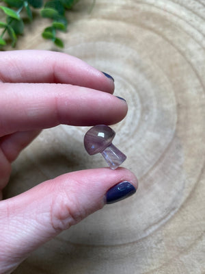Amethyst Mushroom
