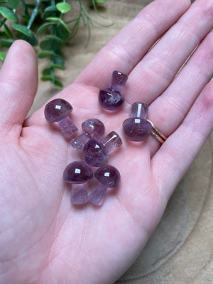 Amethyst Mushroom