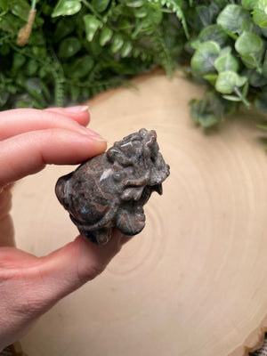 Crystal Lion Turtle