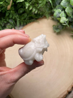 Crystal Lion Turtle