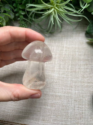 Crystal Mushroom