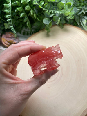 Crystal Rhino