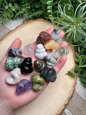 Crystal Shell