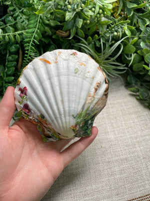 Decoupage Shell