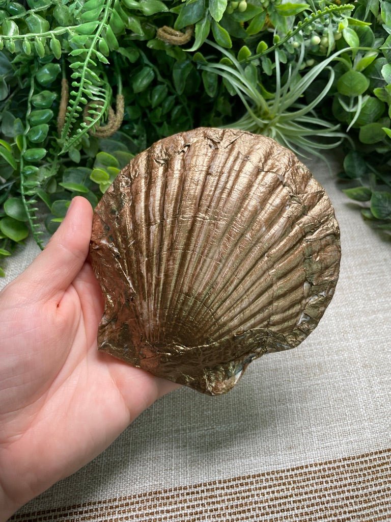 Decoupage Shell