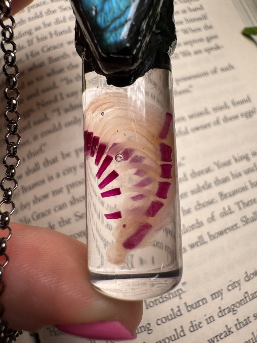 Diaphonized Rat Ribcage and Labradorite Coffin Oddity Necklace