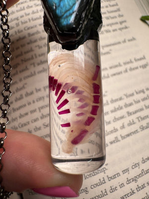 Diaphonized Rat Ribcage and Labradorite Coffin Oddity Necklace