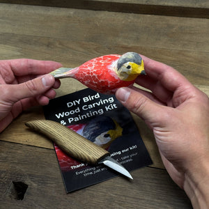 DIY Bird Wood Carving & Painting Kit