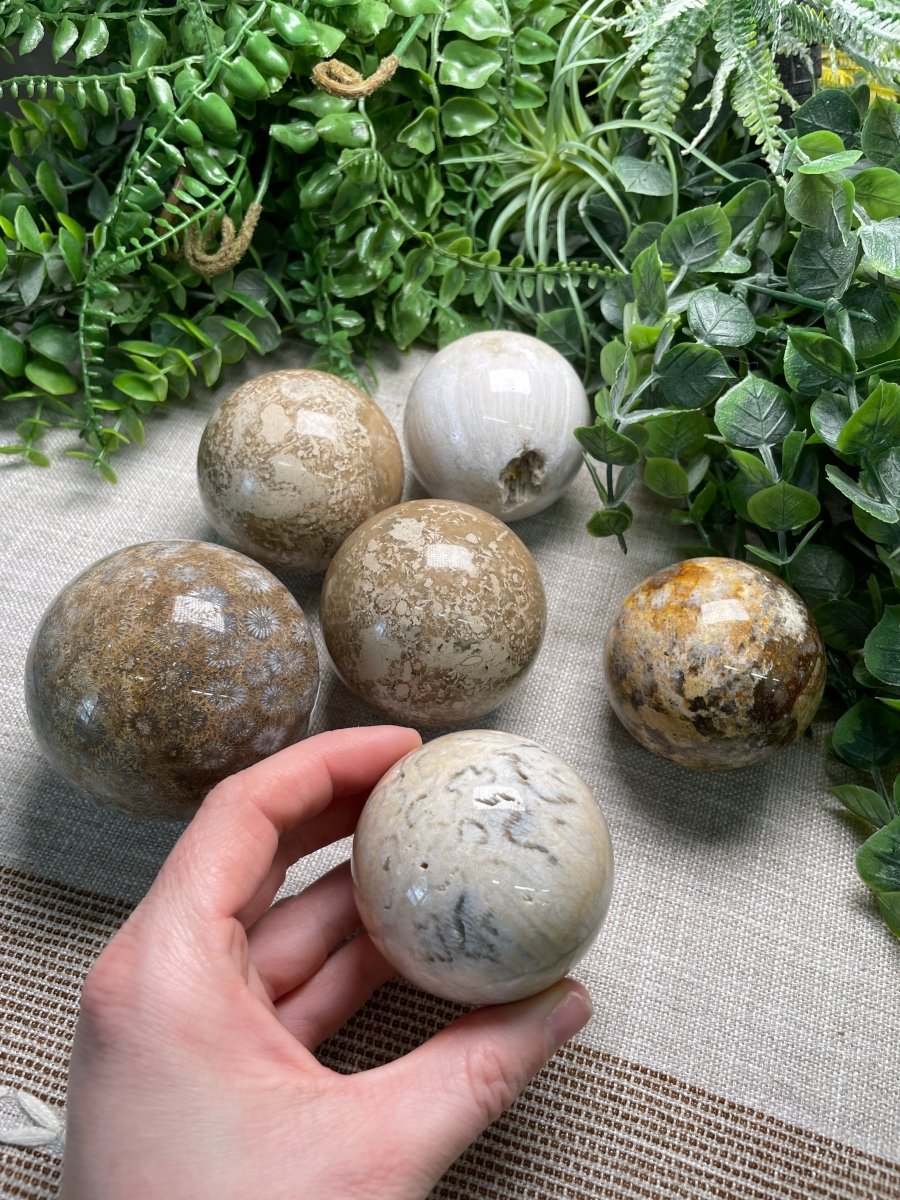 Fossilized Coral Sphere