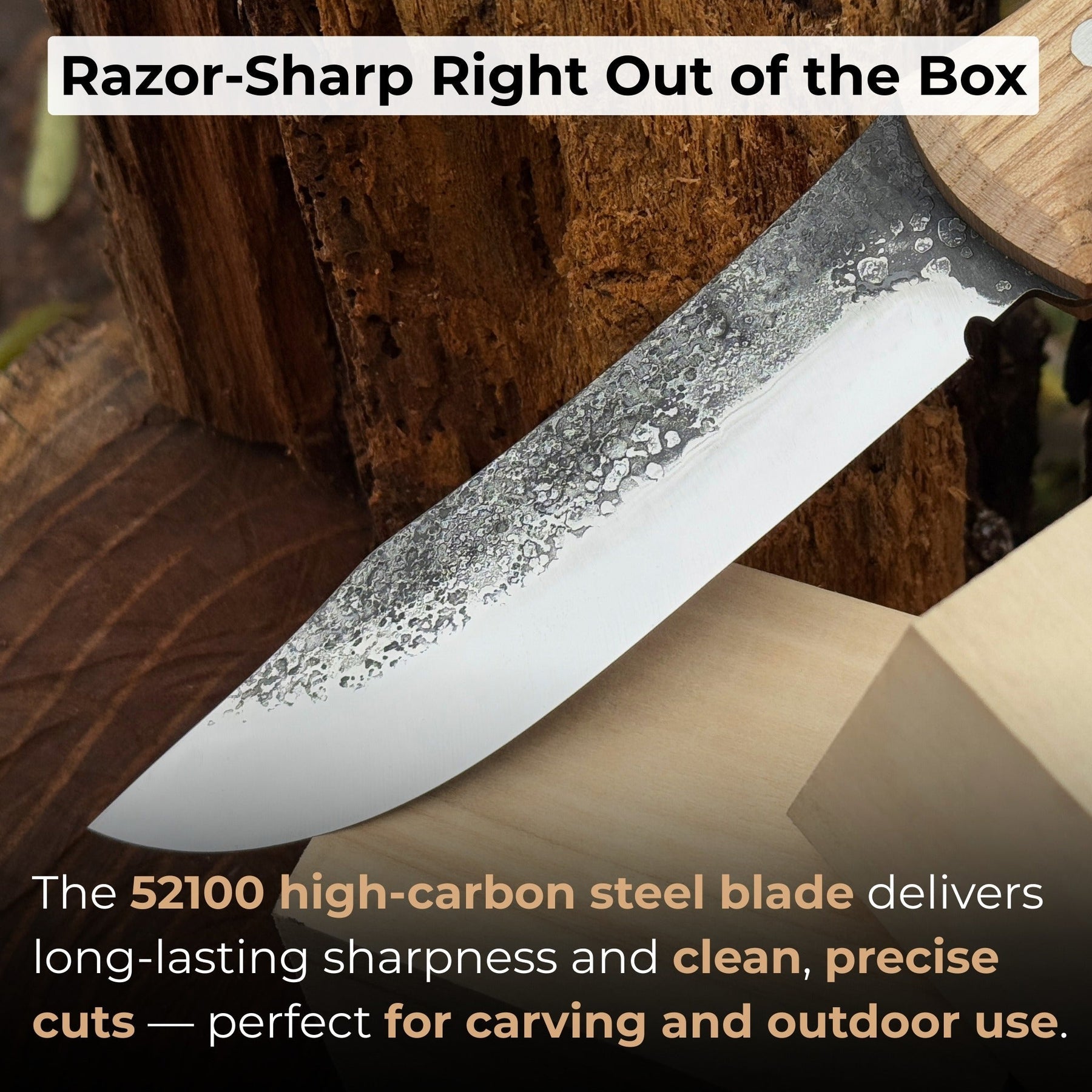 Hand-Forged Bushcraft Knife, 12 cm (4.72 inches)