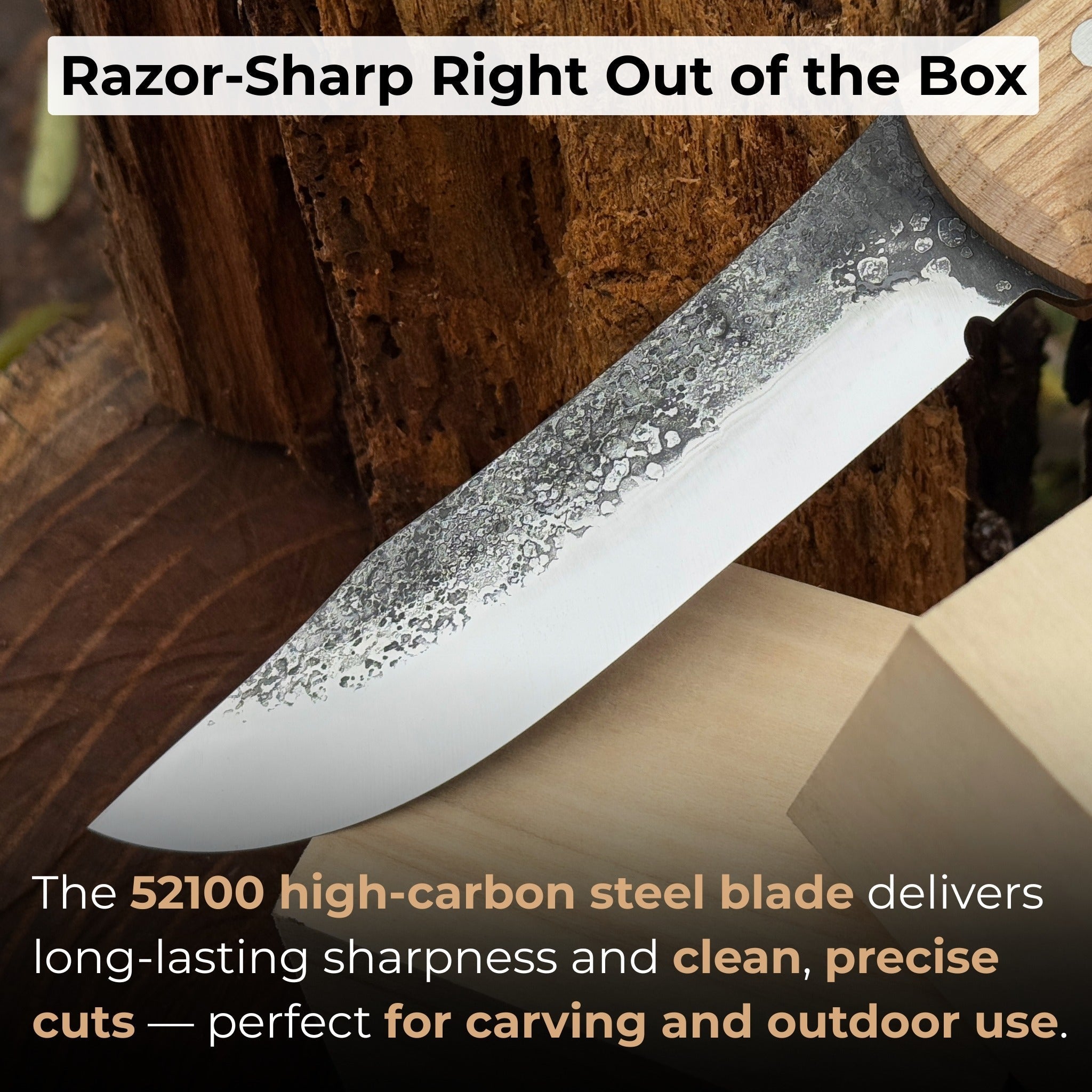 Hand-Forged Bushcraft Knife, 12 cm (4.72 inches)